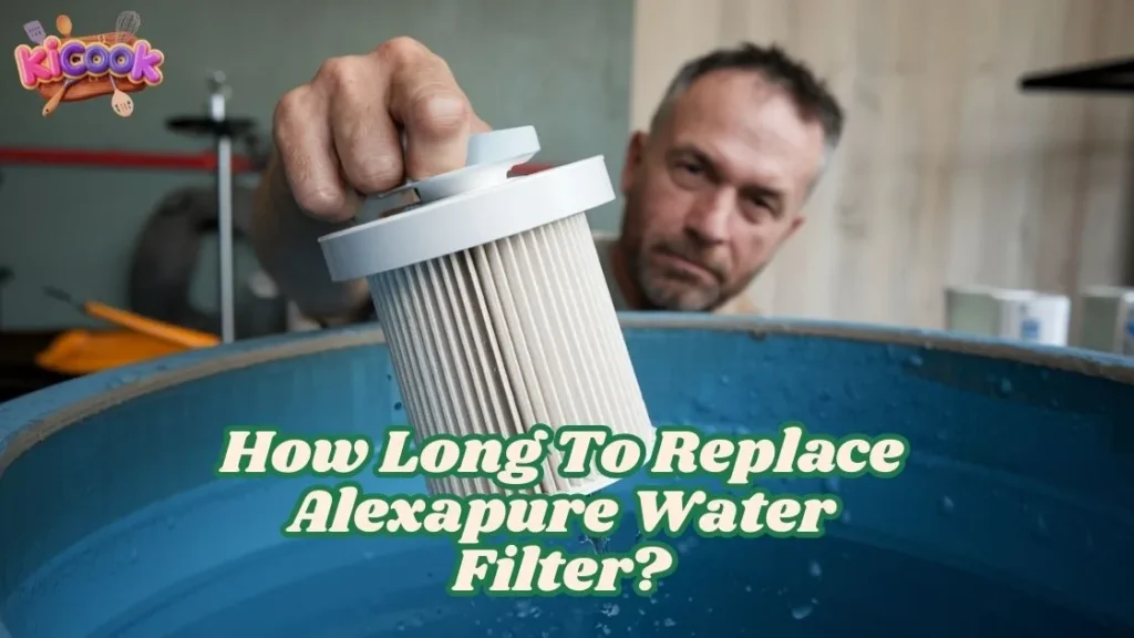 How Long To Replace Alexapure Water Filter