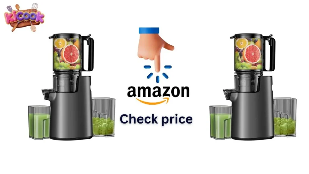 Masticating Juicer Price