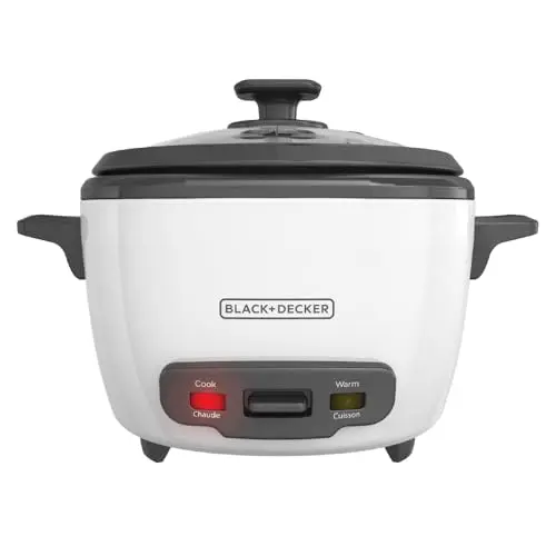 Best rice cooker for sticky rice