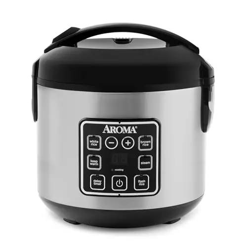 best rice cooker for small family