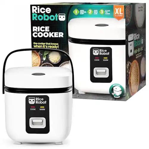 best rice cooker for small family