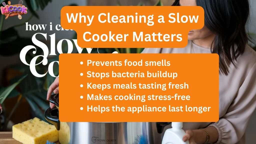 Why Cleaning a Slow Cooker Matters