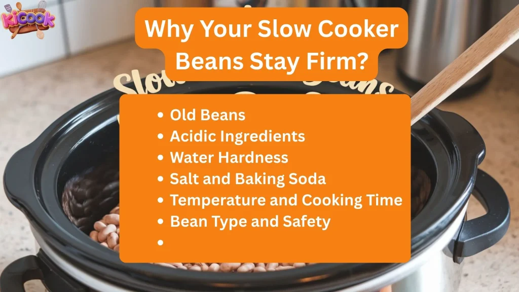 Why Your Slow Cooker Beans Stay Firm