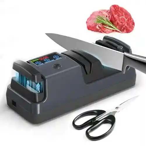 Top 5 Electric Knife Sharpeners 2026