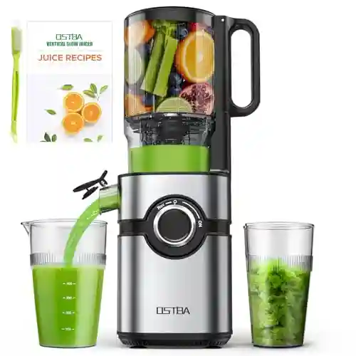 Top 5 Juicers for Beginners 2026