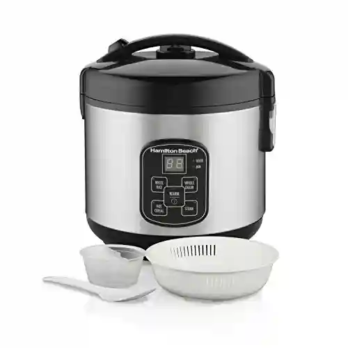 Best Rice Cooker with Steamer Combo