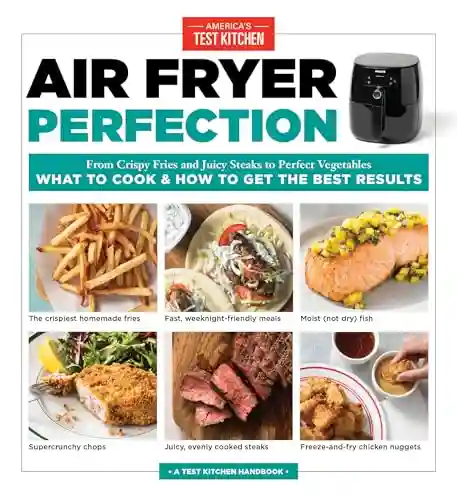 best air fryer french fry recipe