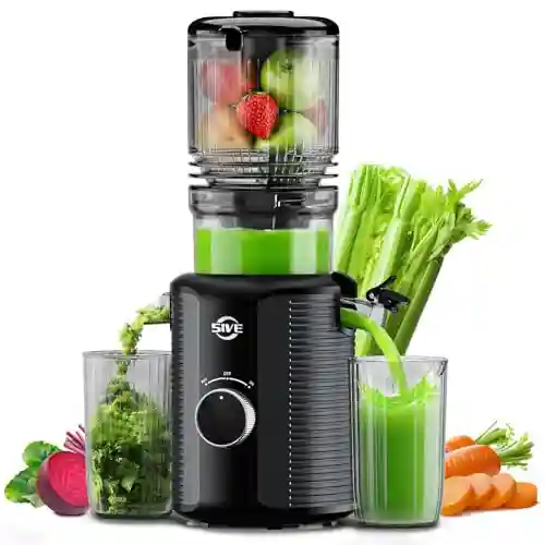 5 Best Masticating Juicers Under $100