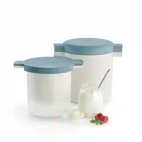 Best Kefir Maker Kit for Home 2026