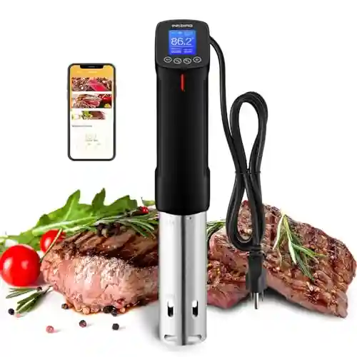 Best Sous Vide for Beginners Under $80