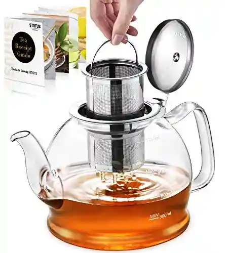5 Best Glass Teapots with Infuser