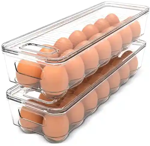 Best Egg Holder for Refrigerator